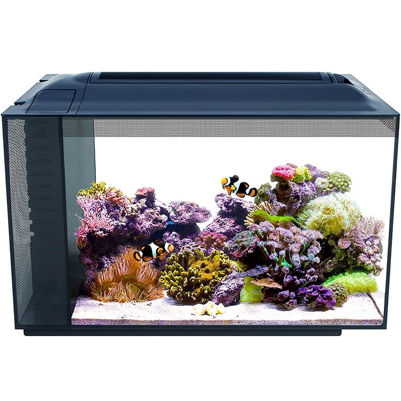 Aquarium équipé EVO Fluval Sea, 52 L (13,5 gal US)