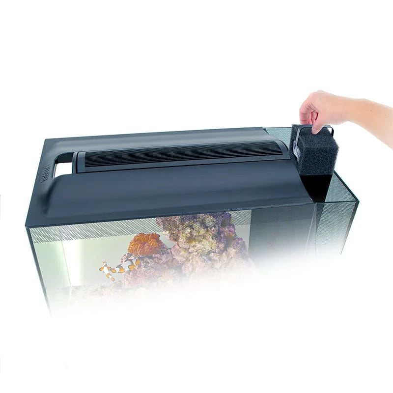 Aquarium équipé EVO Fluval Sea, 52 L (13,5 gal US)