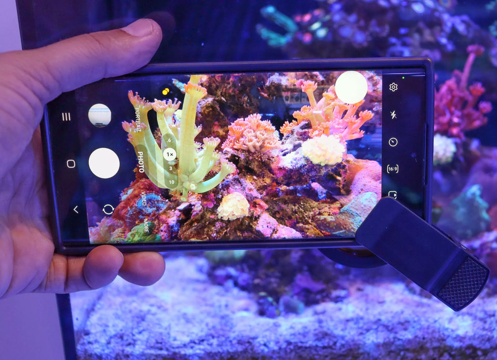 Reef Casa Foto filtre orange en utilisation photographie coraux aquarium récifal smartphone