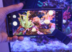 Reef Casa Foto filtre orange en utilisation photographie coraux aquarium récifal smartphone