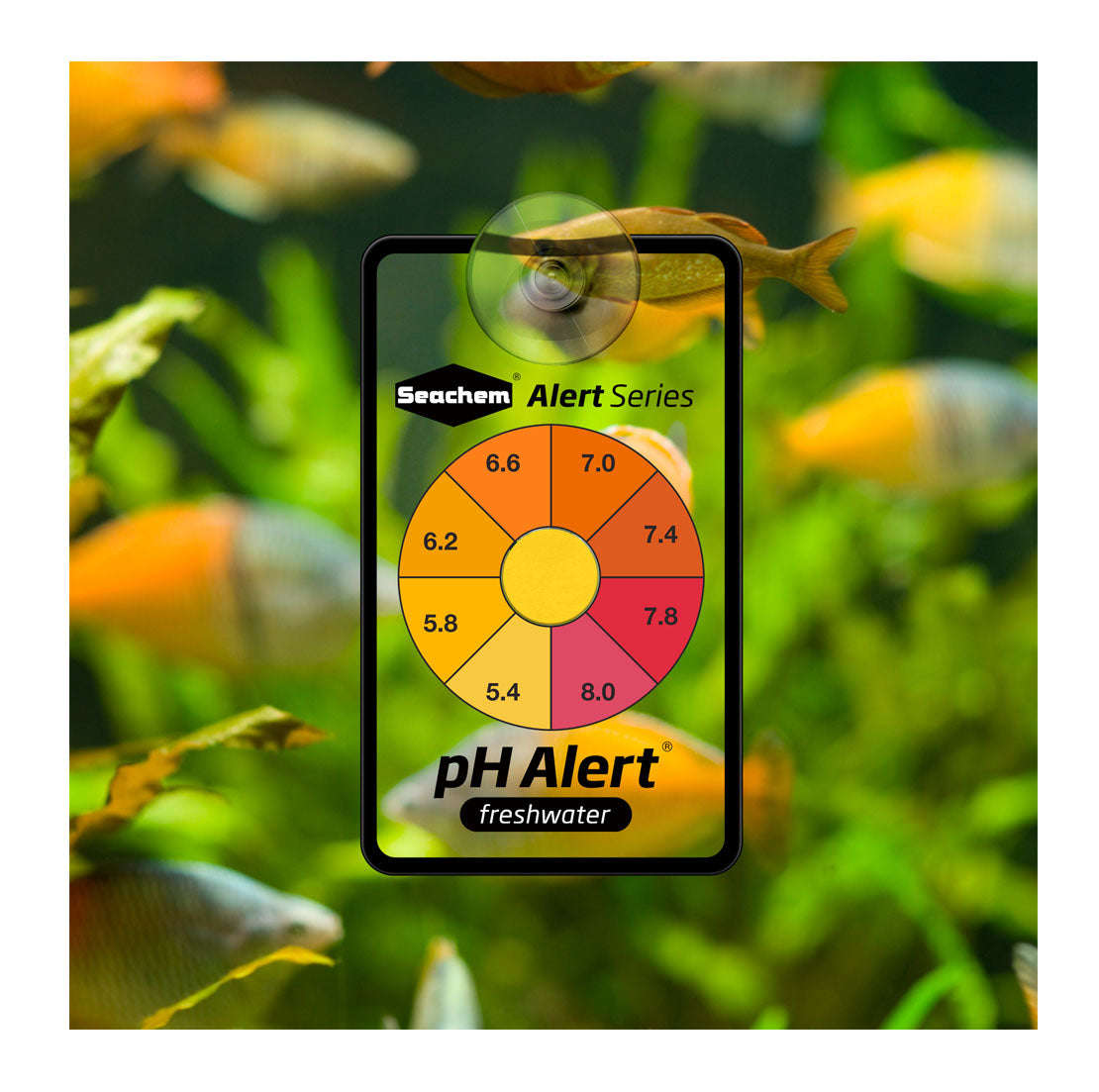 Seachem pH Alert in a planted aquarium — continuous pH sensor