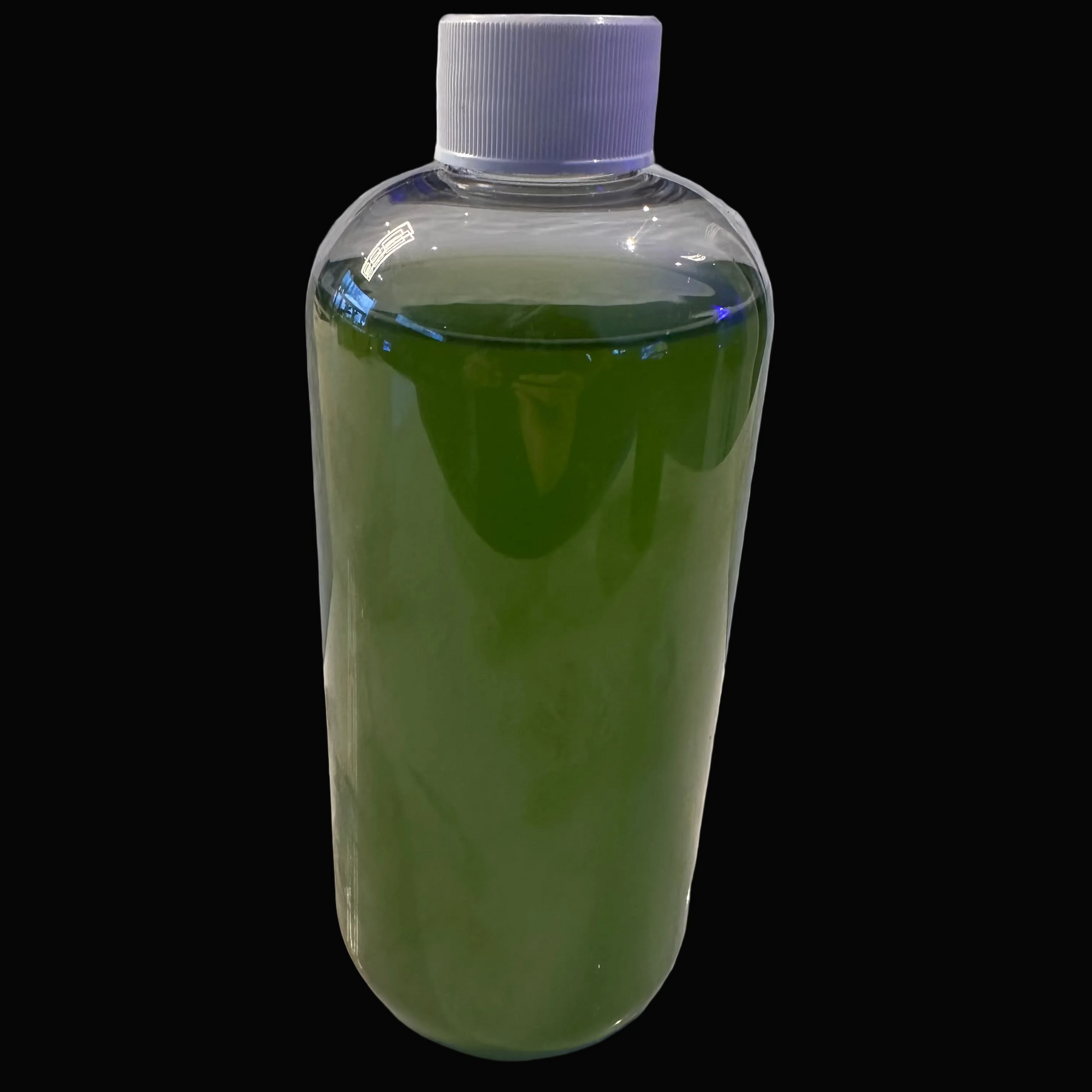 Live Phytoplancton Marin – Bouteille 500ml | Culture Vivante pour Aquarium Récifal