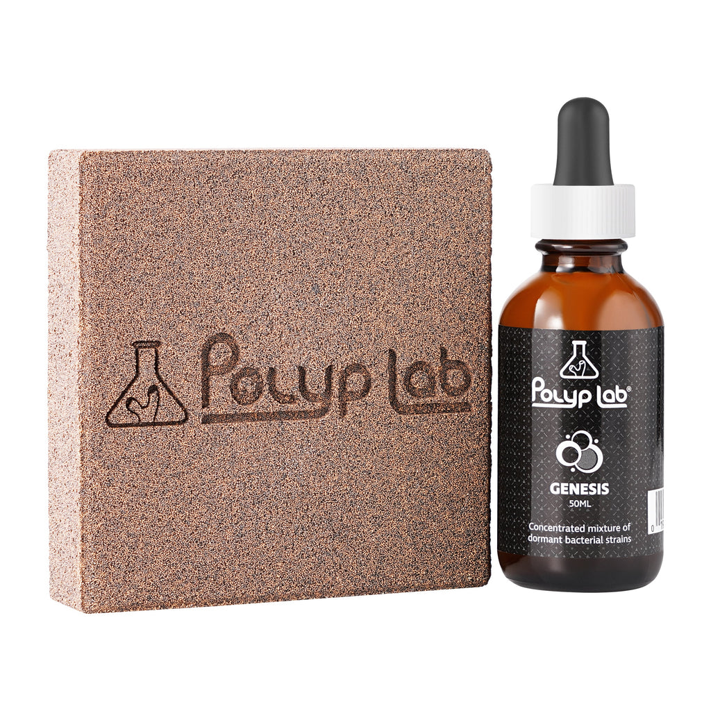 Polyplab Genesis Rock Booster, Genesis Rock block next to the Genesis 50 ml bacteria bottle, out of the box