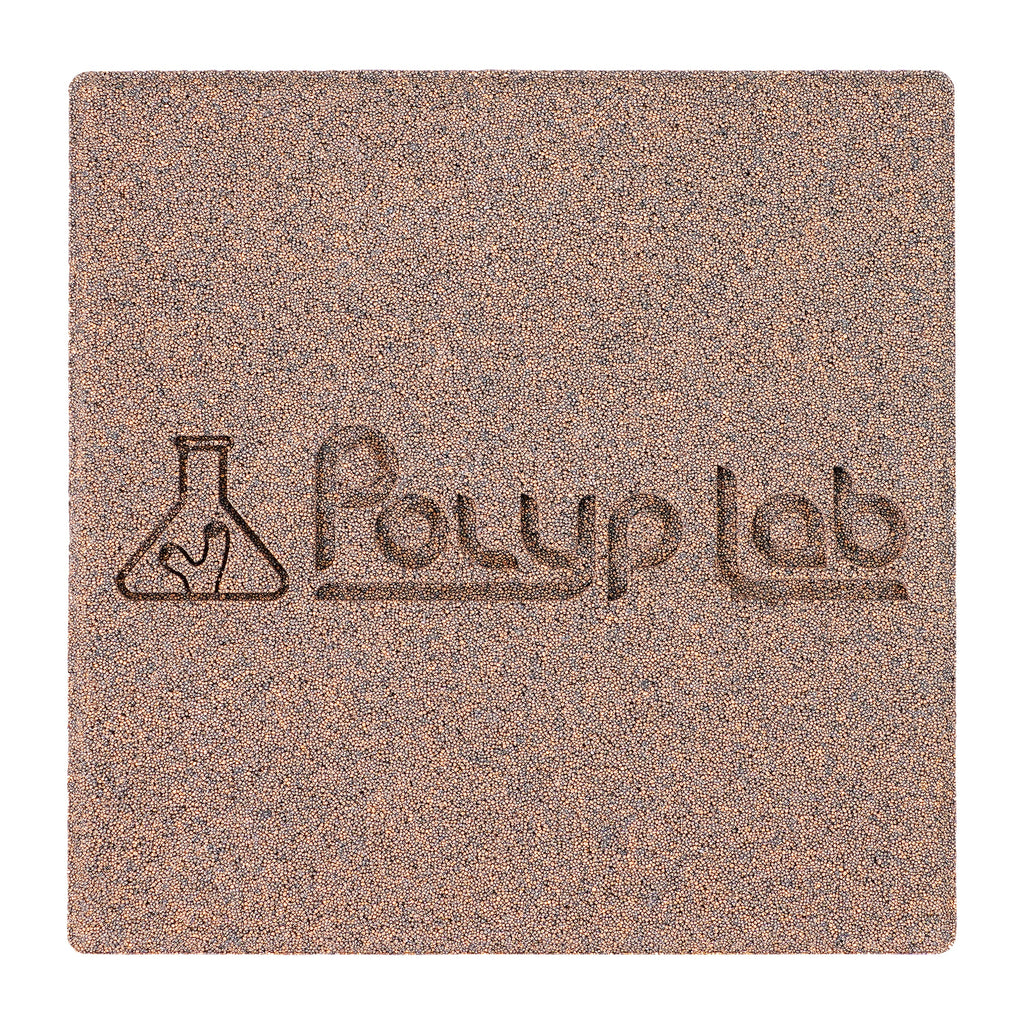 Polyplab Genesis Rock, top-down close-up of one rock showing the engraved logo and surface texture
