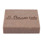Polyplab Genesis Rock, single rock in three-quarter view with engraved Polyp Lab logo and grainy surface