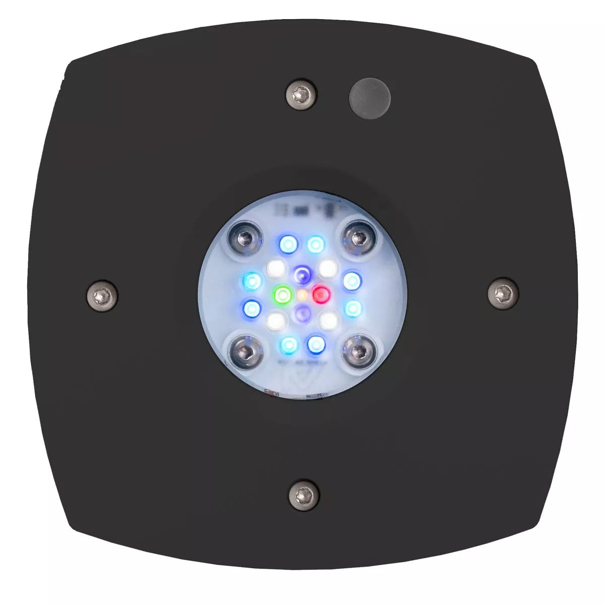 AquaIllumination Prime 16HD Reef noir vue dessous cluster 16 LEDs TIR lentilles
