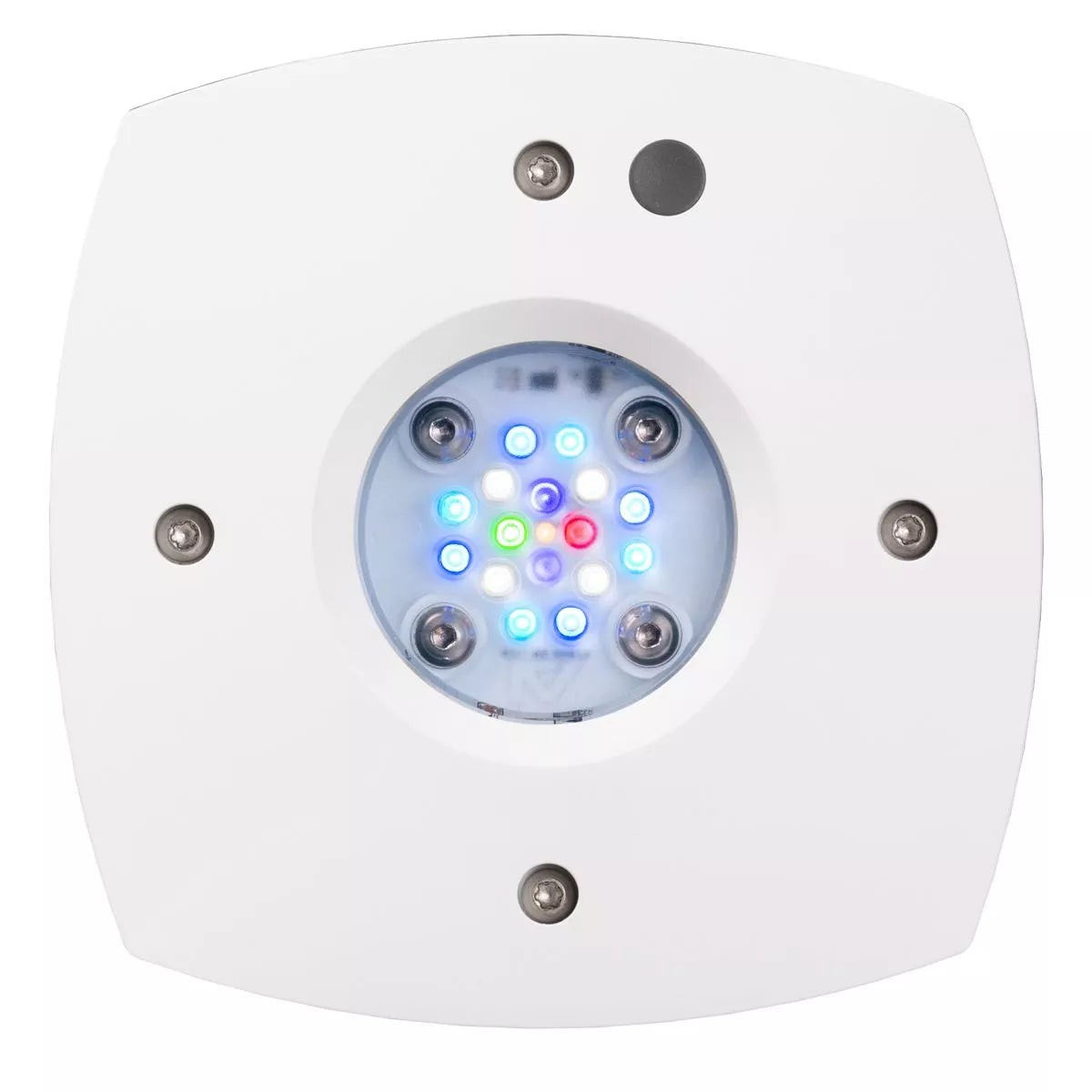 AquaIllumination Prime 16HD Reef blanc vue dessous cluster 16 LEDs TIR allumées