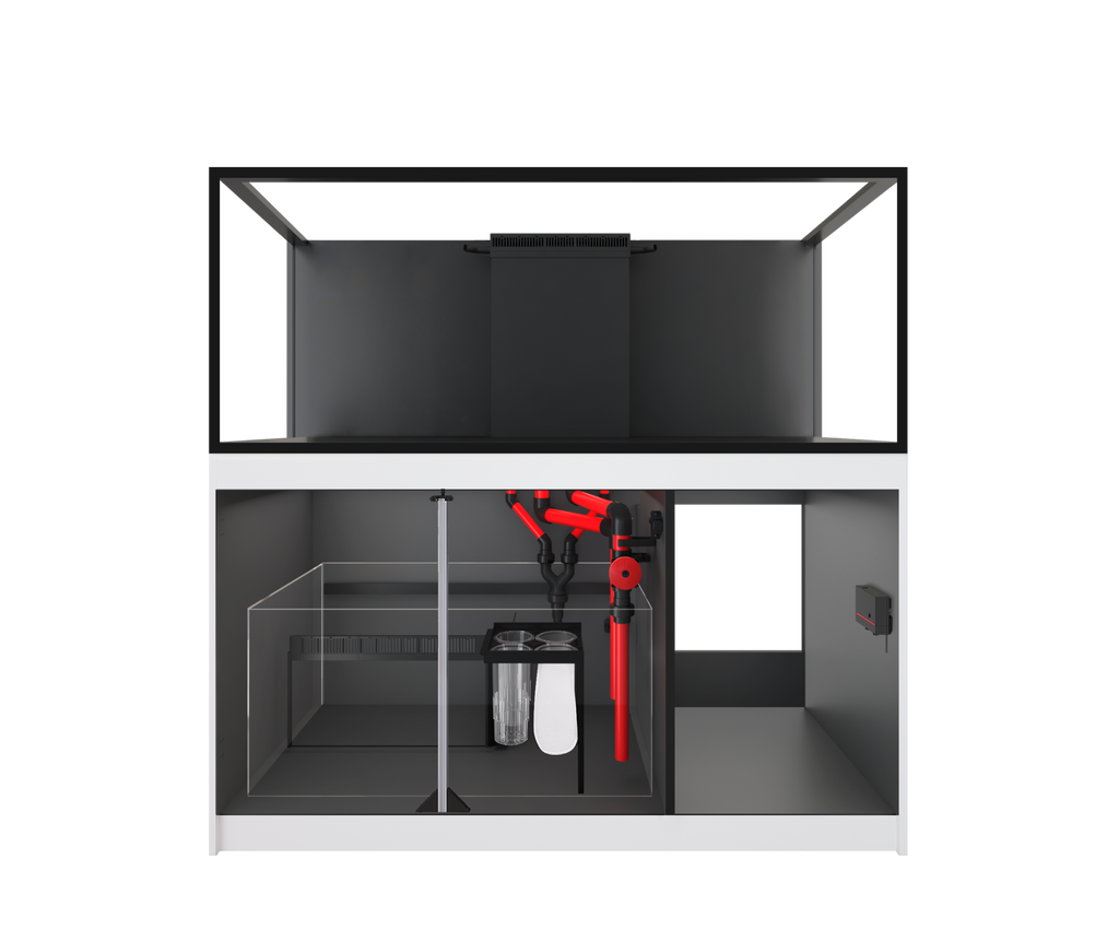 Aquarium récifal Red Sea REEFER 625 G3 avec meuble blanc, cuve Euro-brace 620 L sur 150 cm