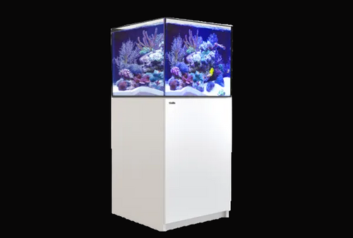 Red Sea Reefer 200 G3+ XL - Reef Aquarium 42 Gal | ReefSolution