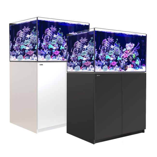 Red Sea REEFER 300 G3 – Aquarium Récifal Premium Silencieux et Évolutif
