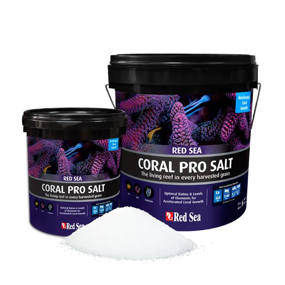 Chaudières Red Sea Coral Pro Salt 55 gal et 175 gal avec tas de sel récifal 12 dKH