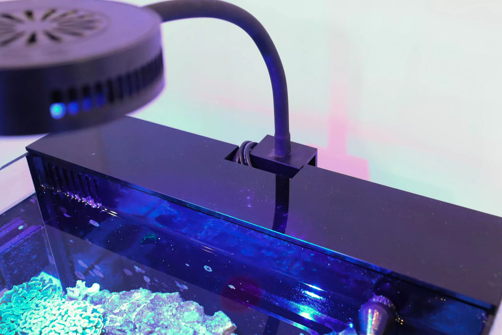 Filtration Cover Reef Casa — panneau cache-fils en acrylique pour la chambre de filtration arrière d'un nano récifal