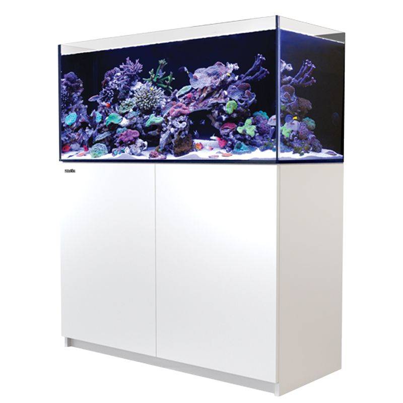 REEFER 350 G3 – Premium, silent, and expandable reef aquarium