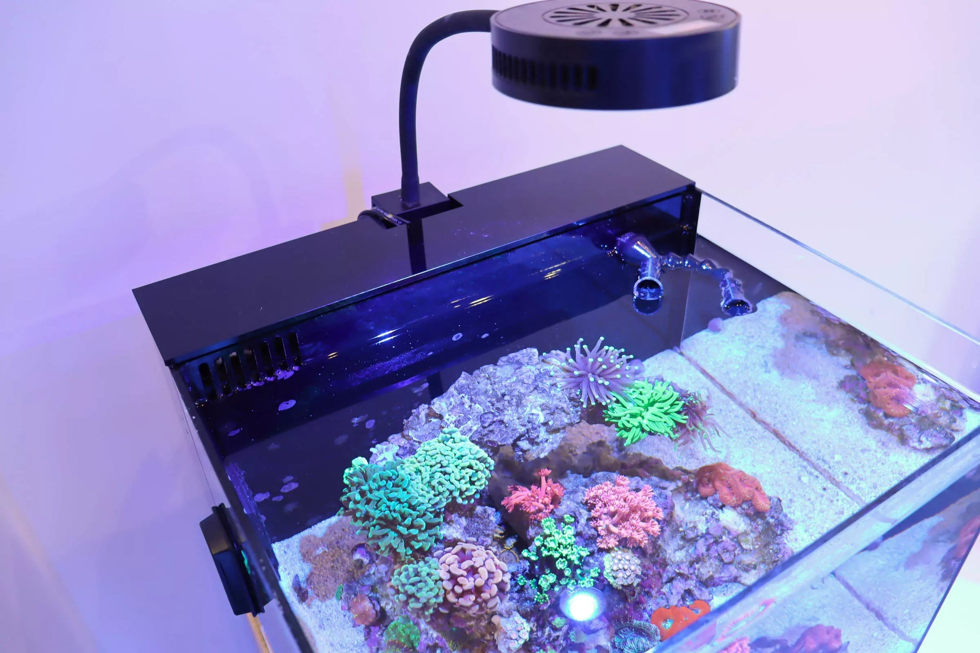 Reef Casa Studio 12 équipé de son Filtration Cover — la chambre de filtration arrière et les fils sont dissimulés