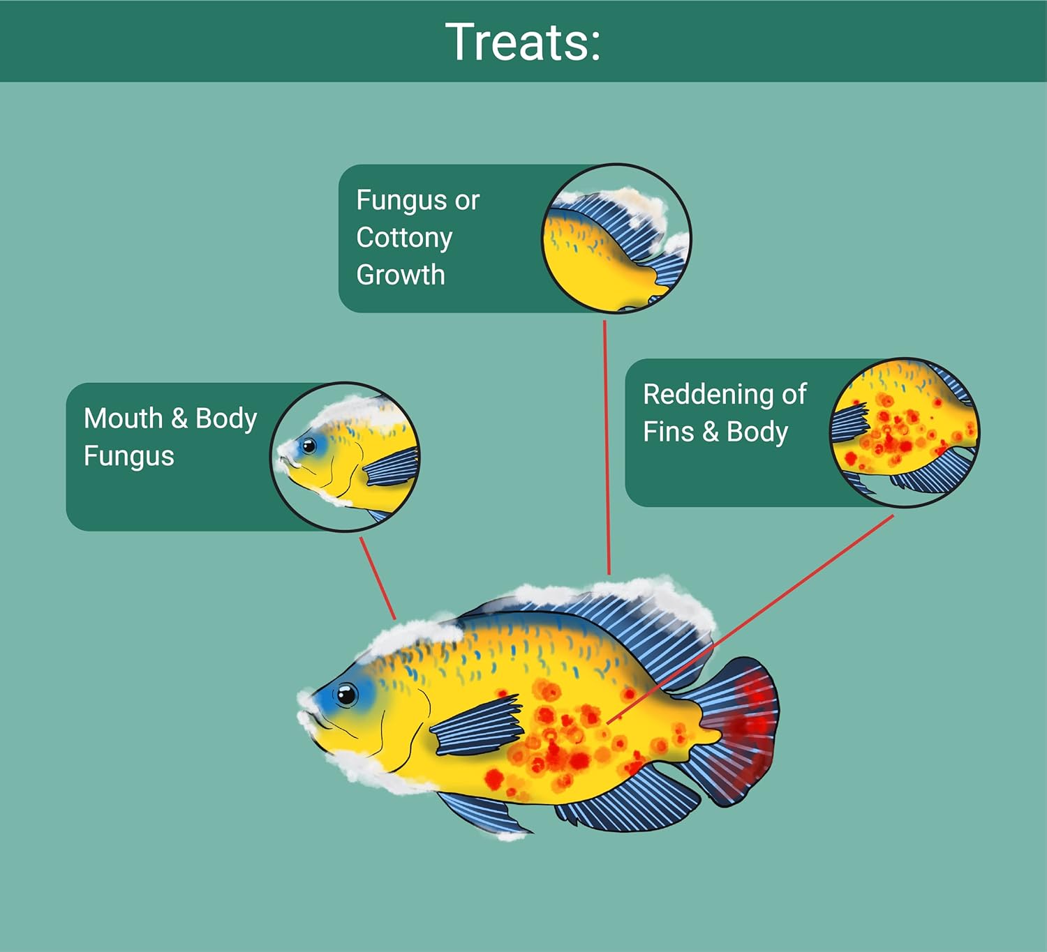 Benefits of using Supratect™ for fish health and disease prevention