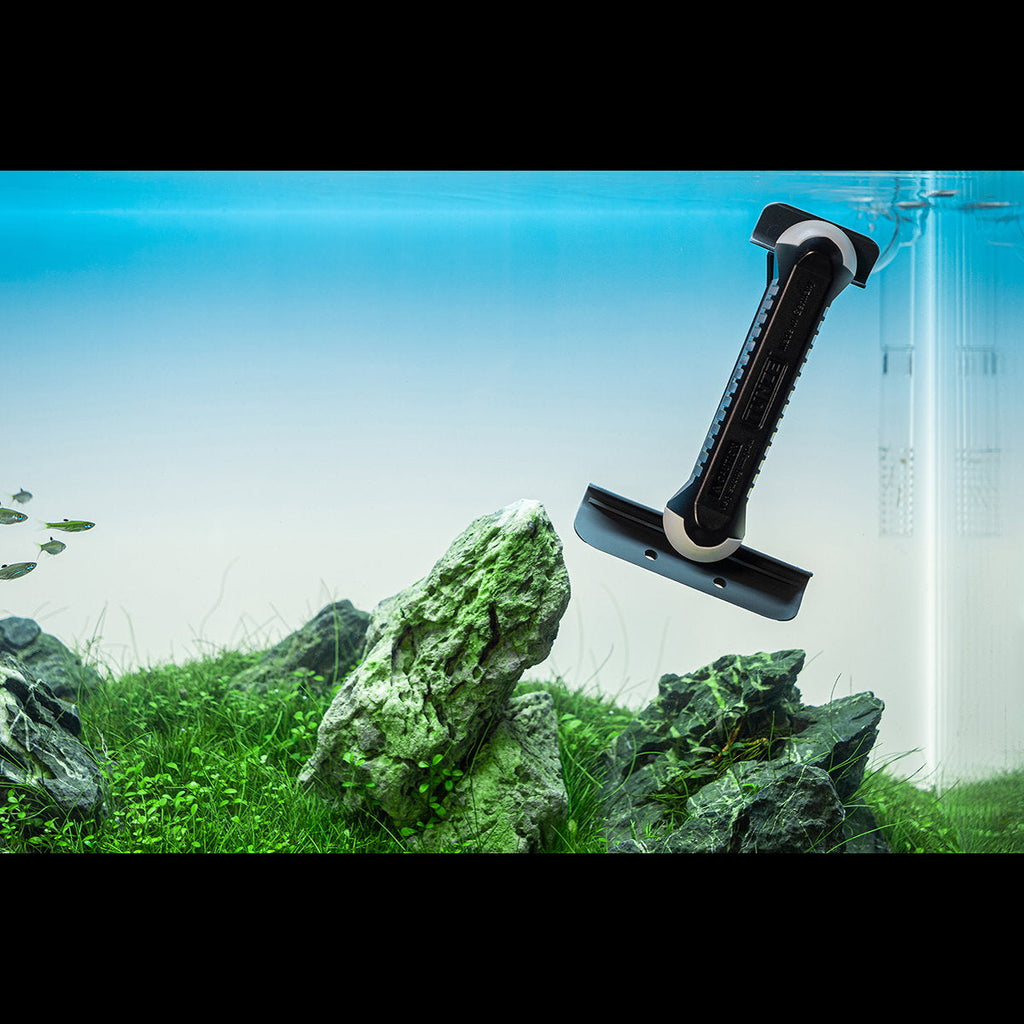 Tunze Care Magnet long sur la vitre d'un aquarium paysager