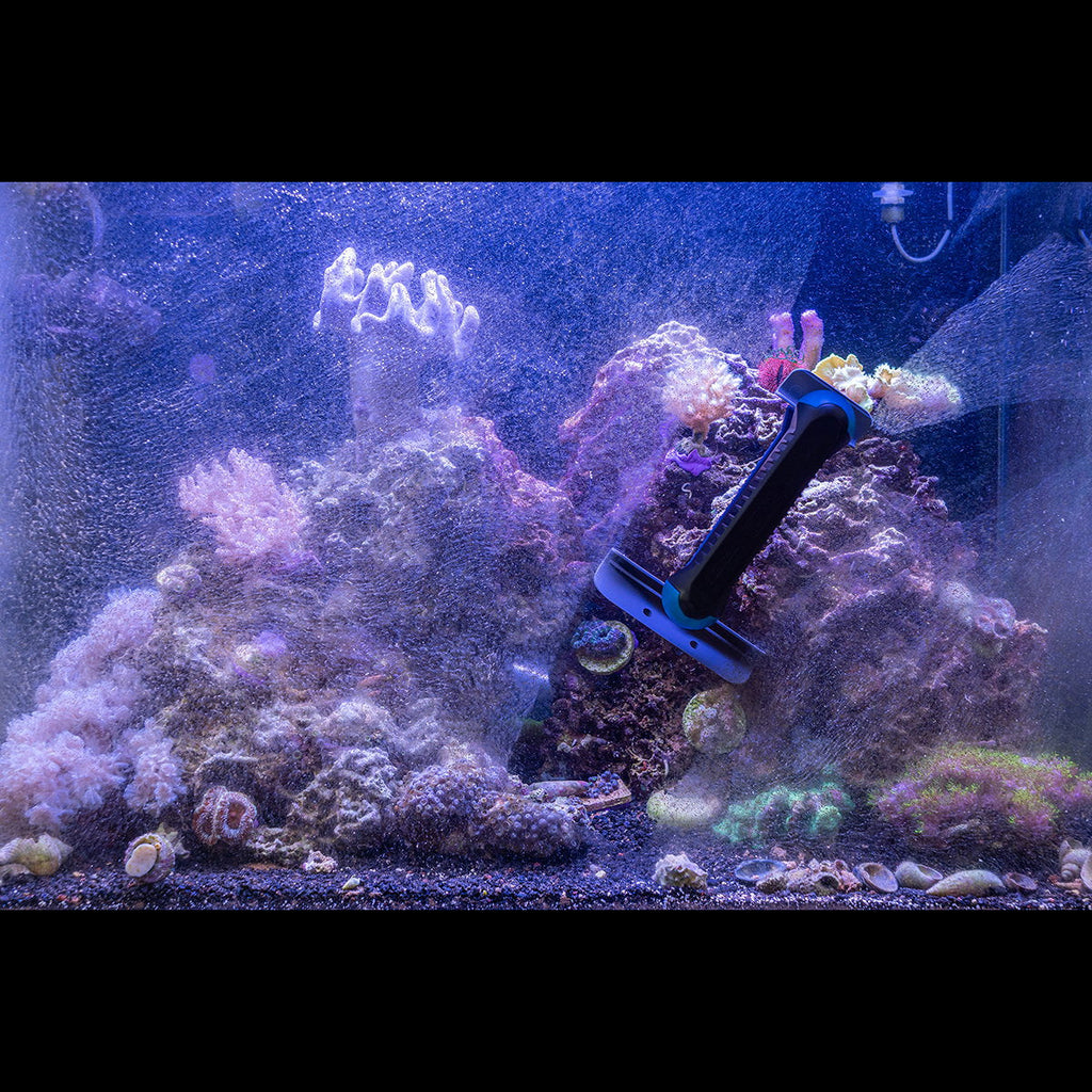 Tunze Care Magnet long sur la vitre d'un aquarium récifal