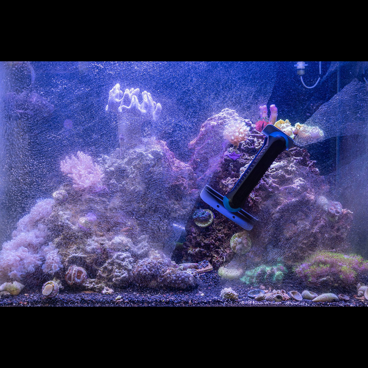 Tunze Care Magnet long sur la vitre d'un aquarium récifal