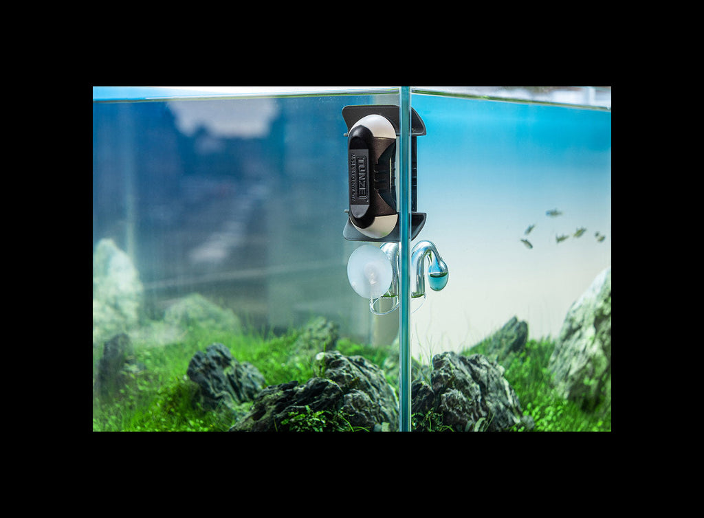 Tunze Care Magnet nano sur la vitre d'un aquarium planté