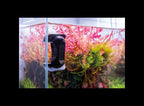 Tunze Care Magnet nano sur la vitre d'un aquarium aux plantes rouges