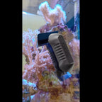 Tunze Care Magnet pico sur la vitre d'un aquarium récifal