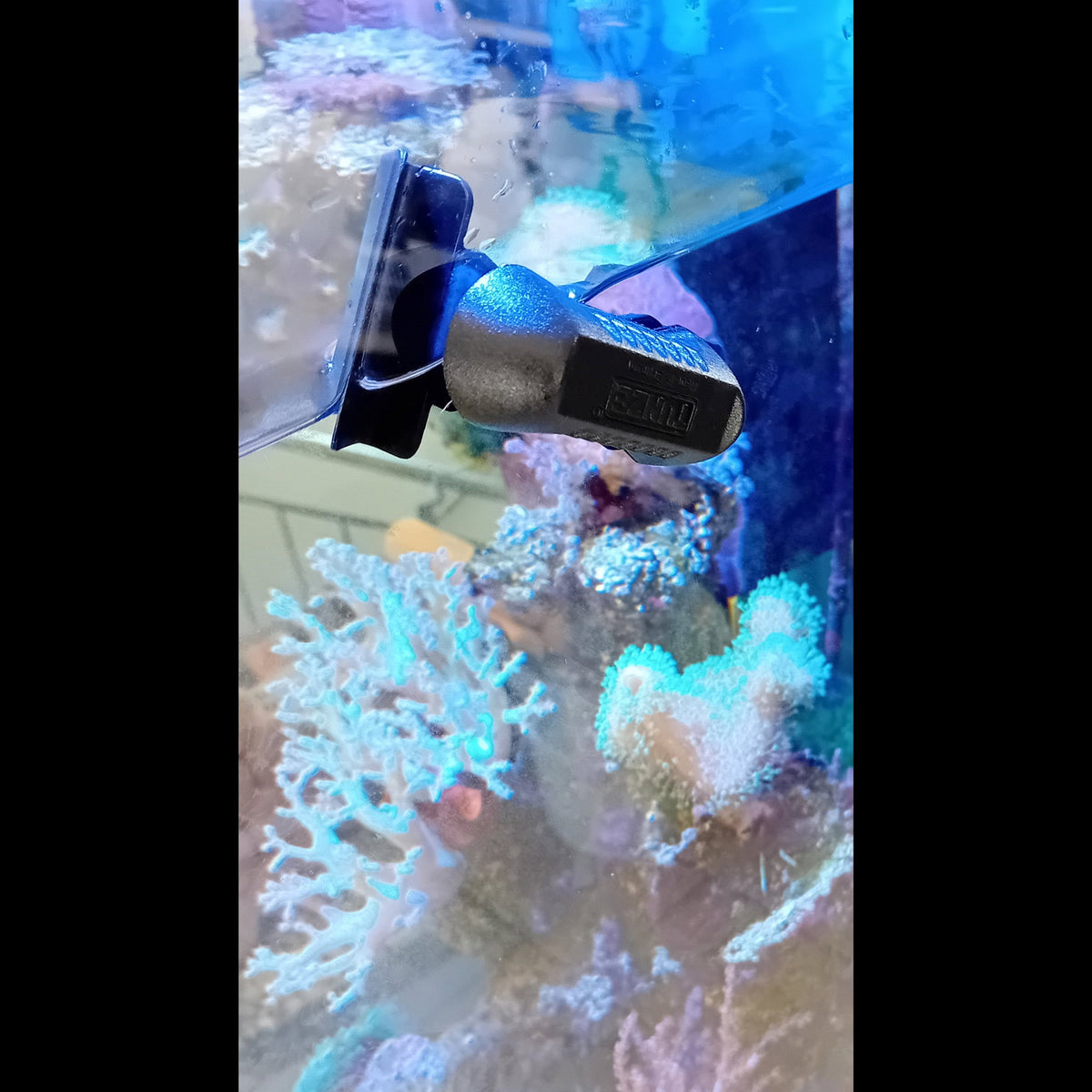 Tunze Care Magnet pico nettoyant la vitre d'un aquarium récifal