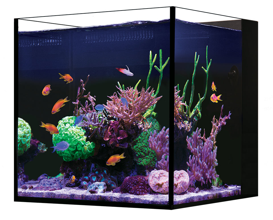 Red Sea DESKTOP Cube – Aquarium NANO Tout-en-Un Aquarium seulement