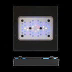 Radion XR15 Blue G6 LED récifale 95W vue de dessus cluster 51 LEDs bleu violet UV EcoTech Marine
