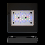 Radion XR15 PRO G6 LED récifale 95W vue de dessus cluster LEDs multicolore et vue profil EcoTech Marine