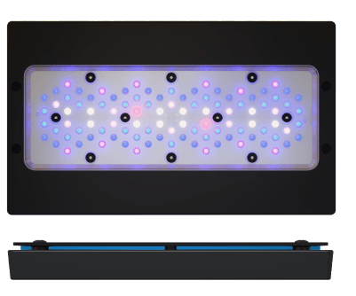 Ecotech Marine Radion XR30 Blue G6