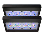 Radion G6 Blue et Pro côte à côte vue de dessus comparaison spectre LED EcoTech Marine