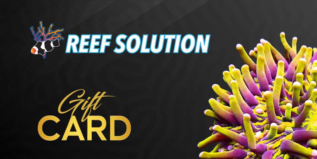 Aquarium Reef Solution Certificat cadeau