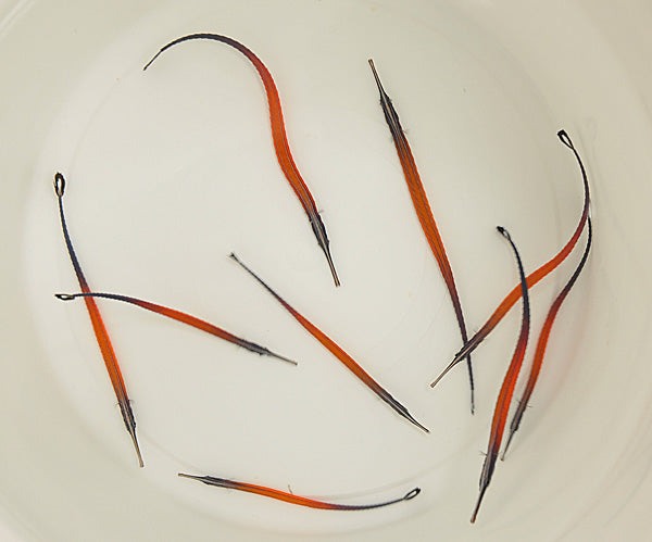 Doryrhamphus janssi (Janss' Pipefish)
