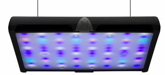 Neptune Sky Reef Aquarium Lumiere DEL