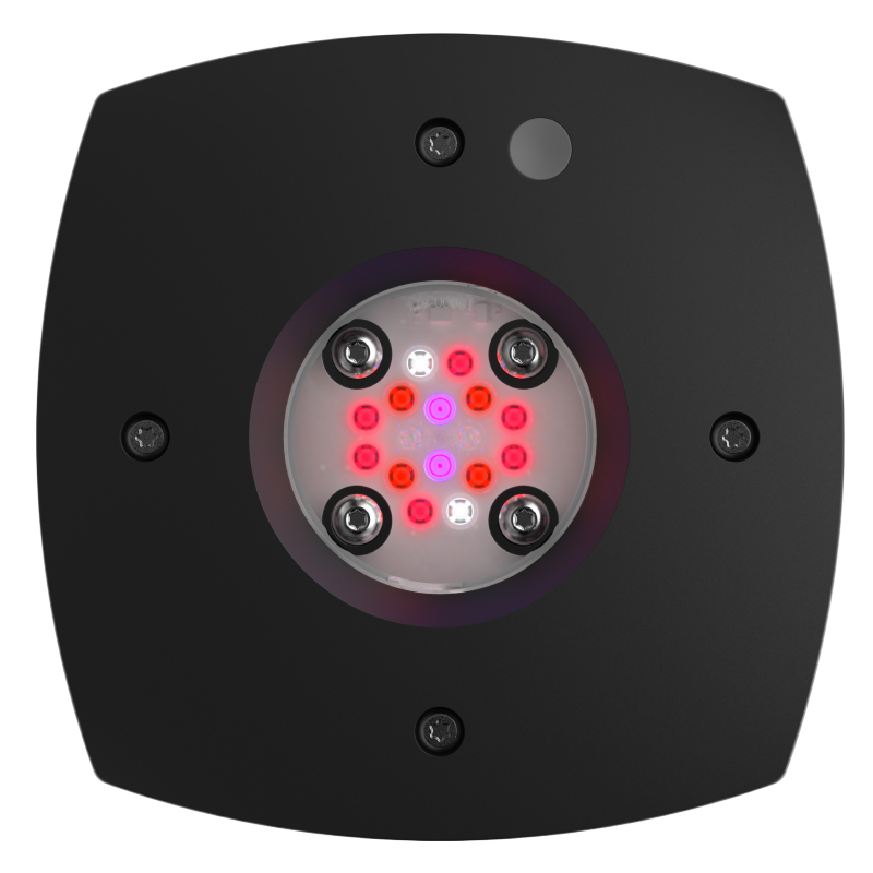 Aqua Illumination Fuge16 HD DEL NOIR