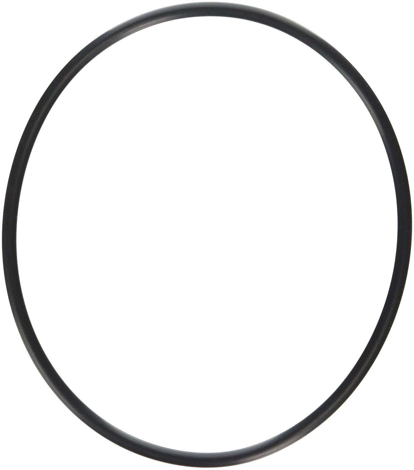 DP RO 2.5" Boîtier de Filtre O-RING 1x